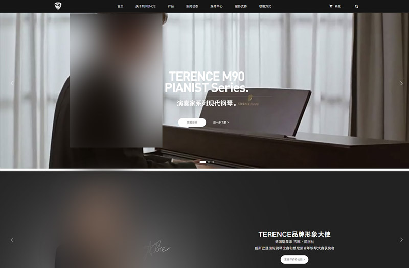 特伦斯（香港）国际有限公司，是一家专注于现代乐器研发的创新型音乐科技企业，集研发设计和生产销售以及音乐教育于一体的综合型乐器公司。TERENCE坚持不断创新，持续塑造现...